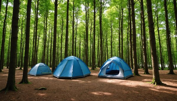Les meilleures expériences de camping en bretagne à découvrir